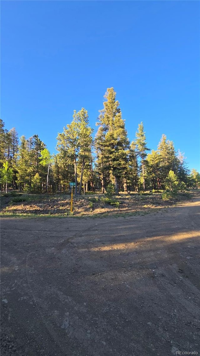 Chubb, Buena Vista, CO 81211