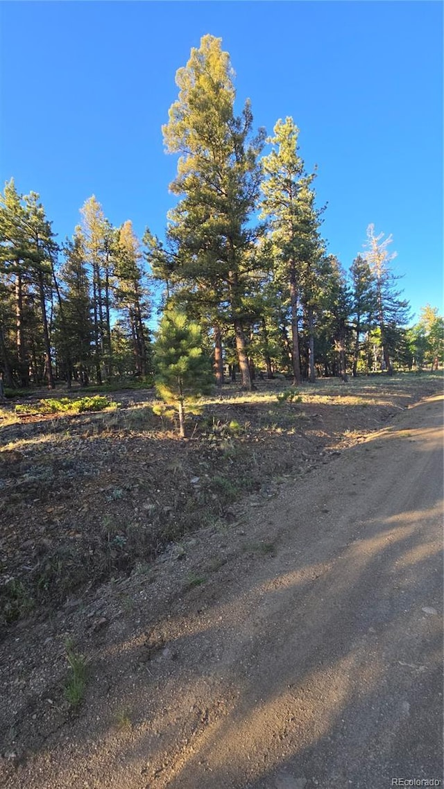 Chubb, Buena Vista, CO 81211