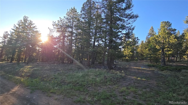 Chubb, Buena Vista, CO 81211