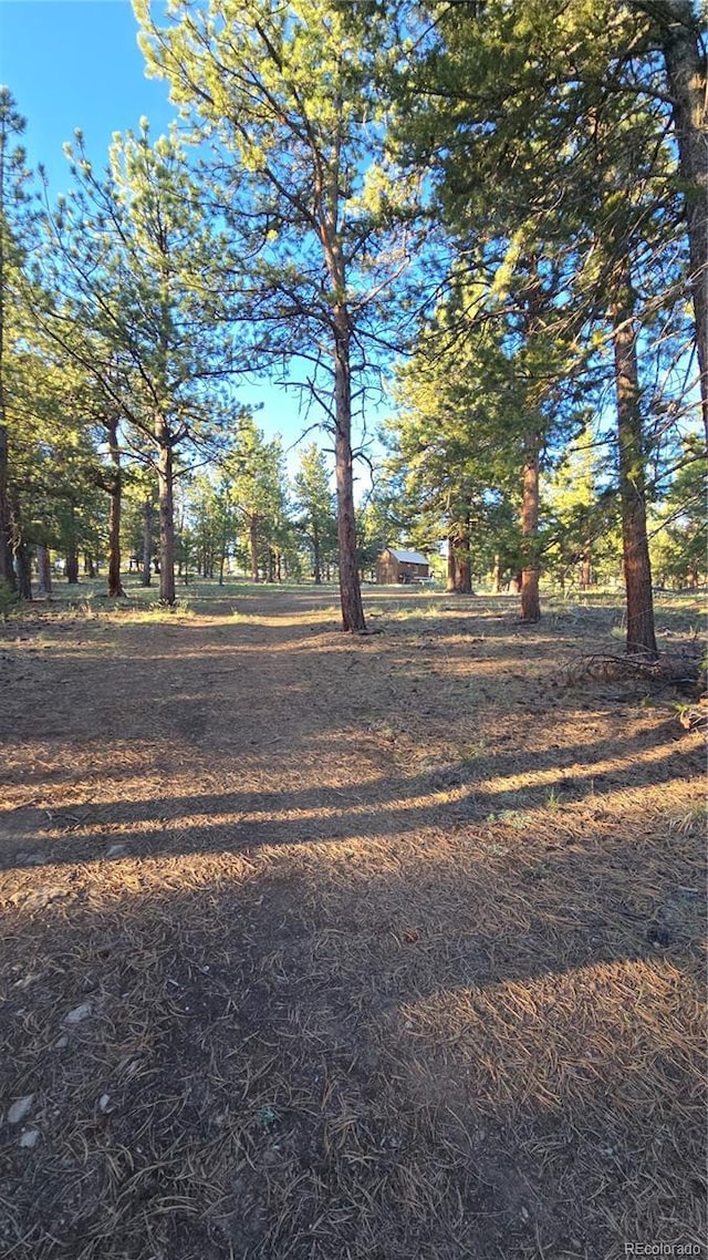 Chubb, Buena Vista, CO 81211