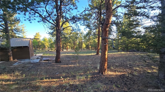 Chubb, Buena Vista, CO 81211