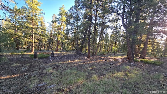 Chubb, Buena Vista, CO 81211