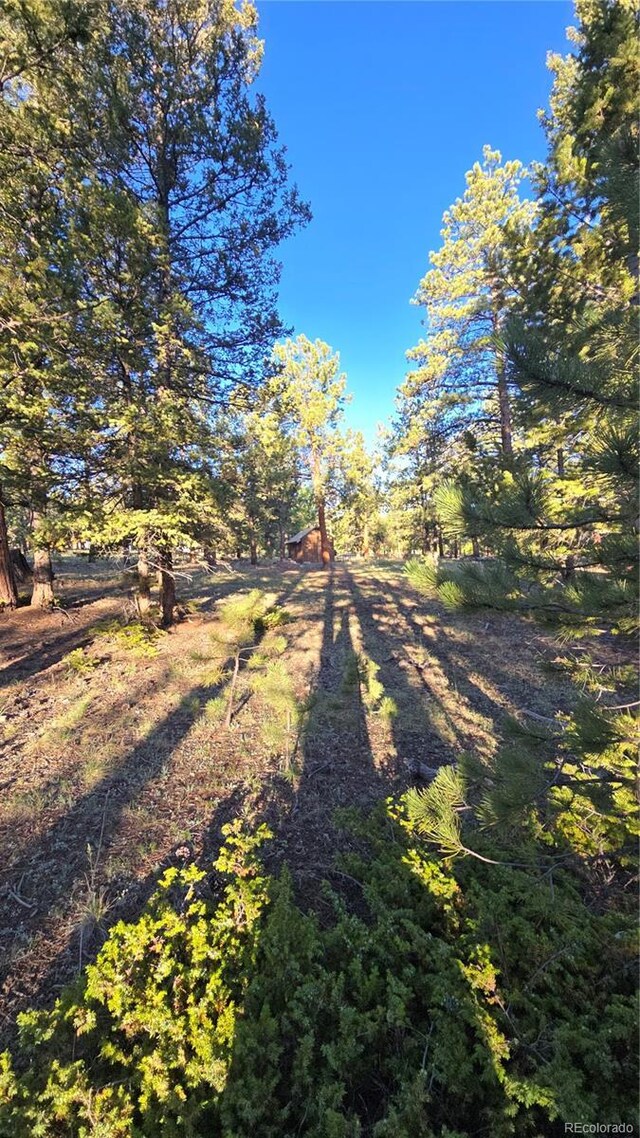 Chubb, Buena Vista, CO 81211