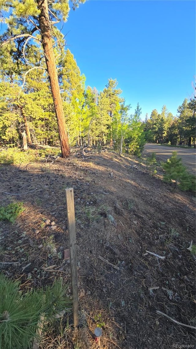 Chubb, Buena Vista, CO 81211