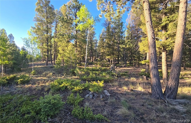 Chubb, Buena Vista, CO 81211