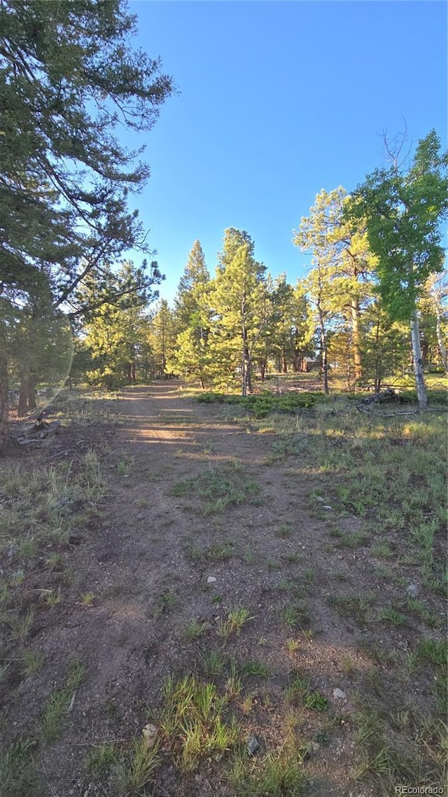 Chubb, Buena Vista, CO 81211