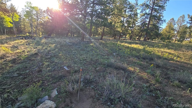Chubb, Buena Vista, CO 81211