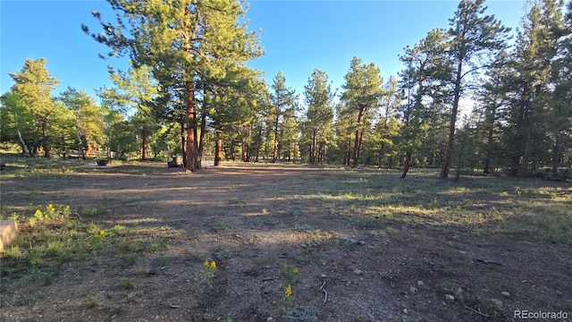 Chubb, Buena Vista, CO 81211