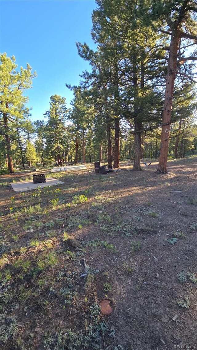 Chubb, Buena Vista, CO 81211