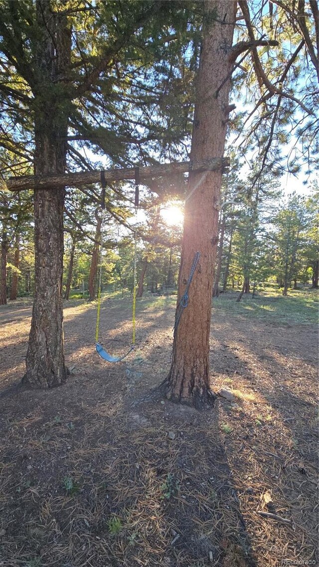 Chubb, Buena Vista, CO 81211