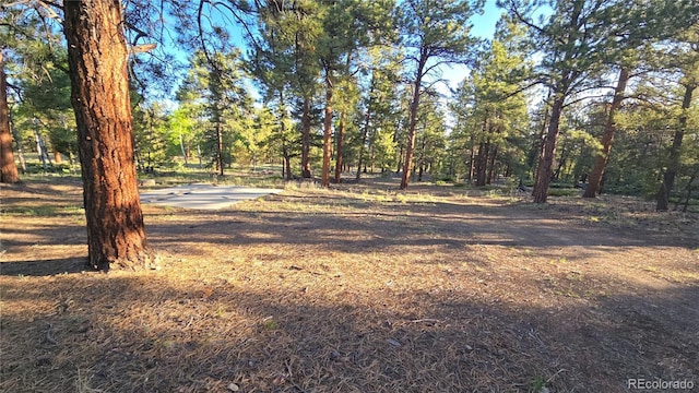 Chubb, Buena Vista, CO 81211