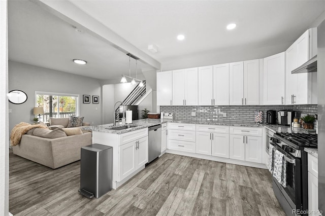 800 S Krameria St, Denver, CO 80224 - kitchen featuring stainless steel appliances, a peninsula, open floor plan, a sink, and light wood-type flooring