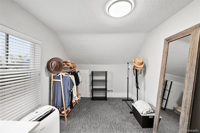 800 S Krameria St, Denver, CO 80224 - spacious closet featuring lofted ceiling and dark colored carpet