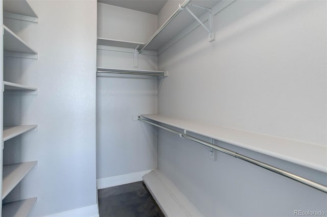 view of walk in closet