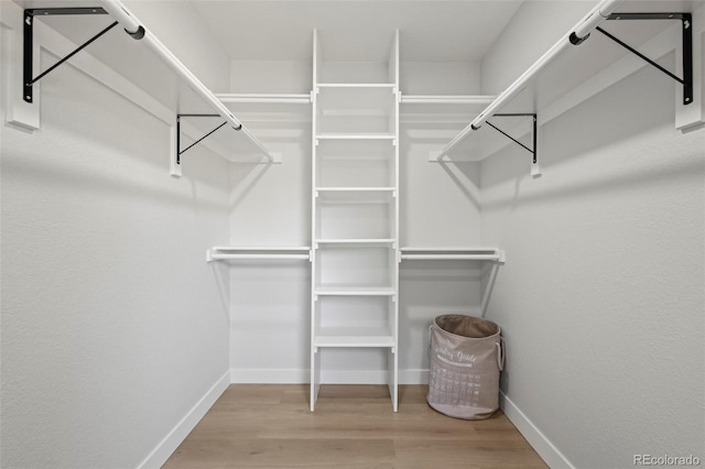 walk in closet featuring wood-type flooring