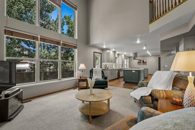 6285 Moccasin Pass Ct, Colorado Springs, CO 80919 - living room featuring healthy amount of natural light, a high ceiling, and wood finished floors