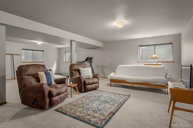 6285 Moccasin Pass Ct, Colorado Springs, CO 80919 - living room with carpet flooring
