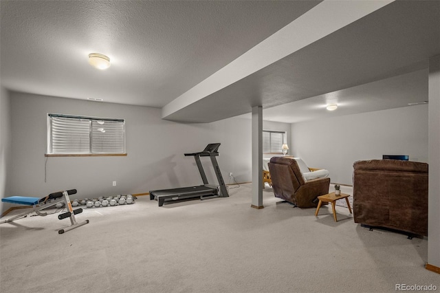 6285 Moccasin Pass Ct, Colorado Springs, CO 80919 - exercise area with baseboards and carpet flooring