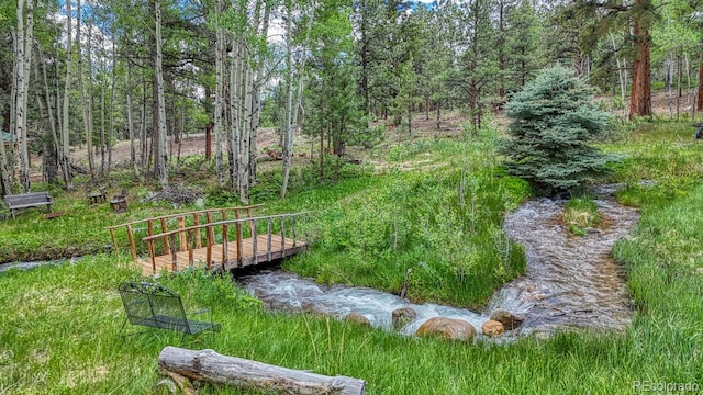 18480 Ponderosa Ln, Buena Vista, CO 81211 - photo 31