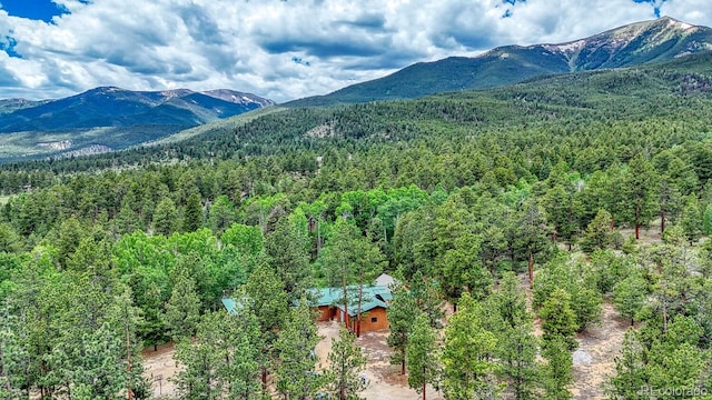 18480 Ponderosa Ln, Buena Vista, CO 81211 - photo 3