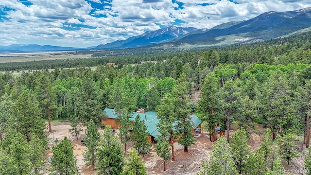 18480 Ponderosa Ln, Buena Vista, CO 81211 - photo 32