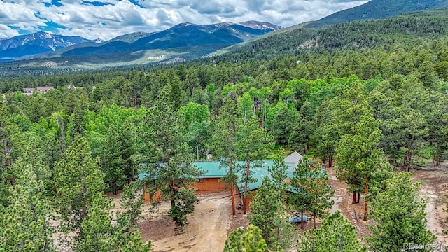 18480 Ponderosa Ln, Buena Vista, CO 81211 - photo 33