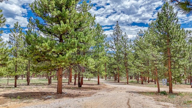 18480 Ponderosa Ln, Buena Vista, CO 81211 - photo 35