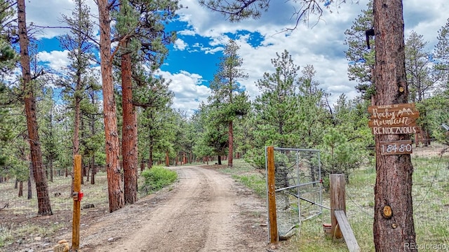 18480 Ponderosa Ln, Buena Vista, CO 81211 - photo 36