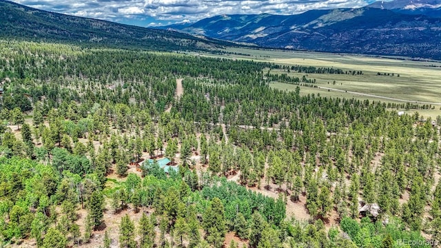 18480 Ponderosa Ln, Buena Vista, CO 81211 - photo 37