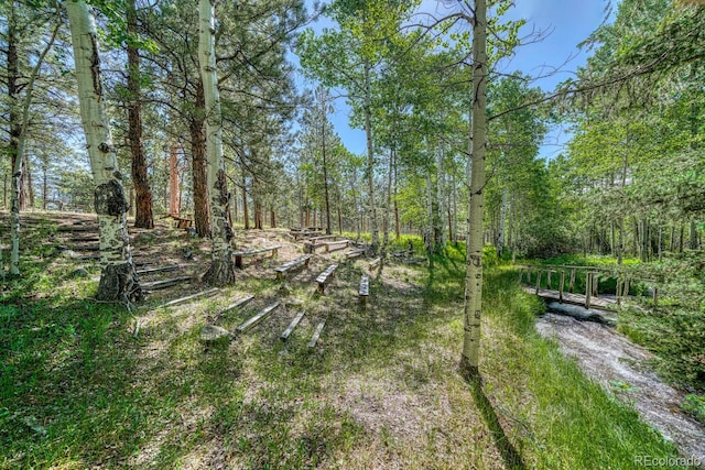 18480 Ponderosa Ln, Buena Vista, CO 81211 - photo 39
