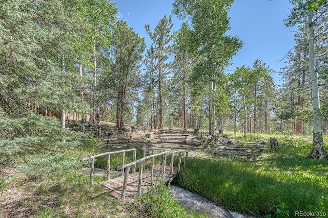 18480 Ponderosa Ln, Buena Vista, CO 81211 - photo 40