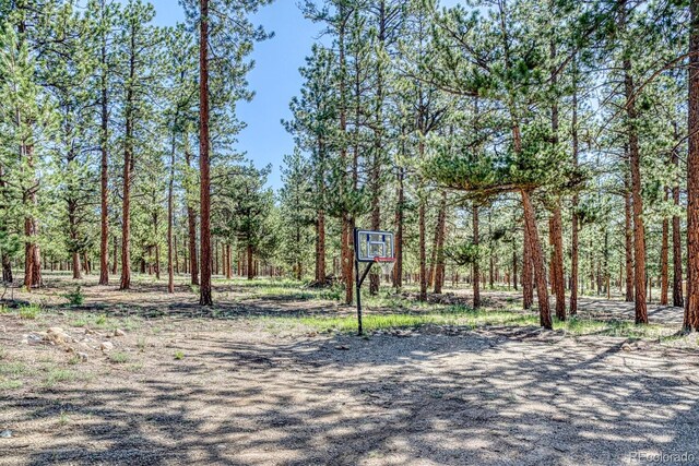 18480 Ponderosa Ln, Buena Vista, CO 81211 - photo 44