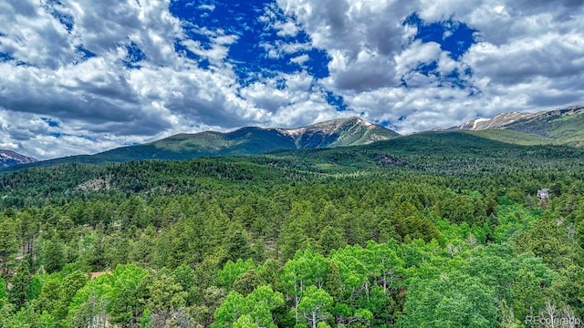18480 Ponderosa Ln, Buena Vista, CO 81211 - photo 48