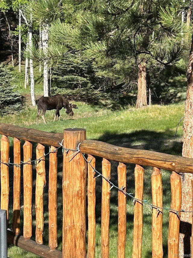 18480 Ponderosa Ln, Buena Vista, CO 81211 - photo 50