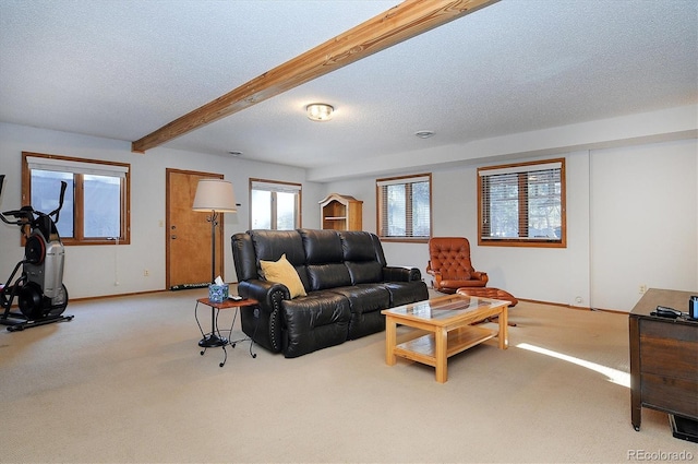 carpeted living room featuring beam ceiling and a textured ceiling