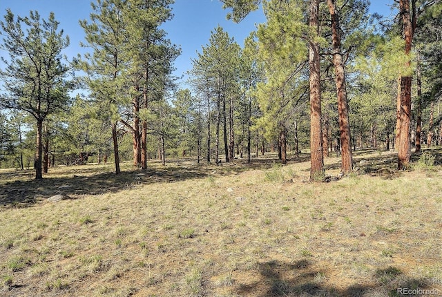 18360 Trail W Dr, Buena Vista, CO 81211 - view of woods