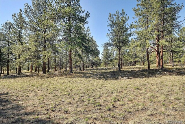 18360 Trail W Dr, Buena Vista, CO 81211 - view of yard