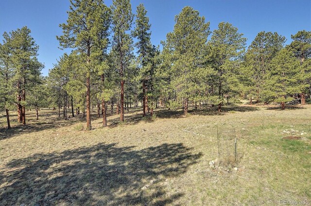 18360 Trail W Dr, Buena Vista, CO 81211 - view of yard