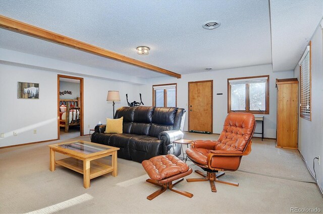 18360 Trail W Dr, Buena Vista, CO 81211 - living room featuring a textured ceiling, light colored carpet, beam ceiling, and baseboards
