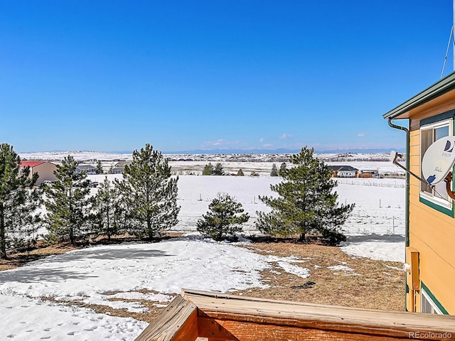 view of snowy yard