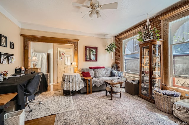 living area featuring ceiling fan and wood finished floors
