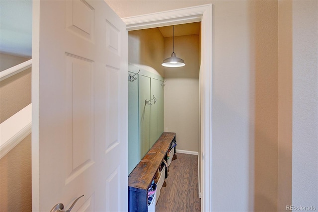 mudroom featuring dark hardwood / wood-style flooring