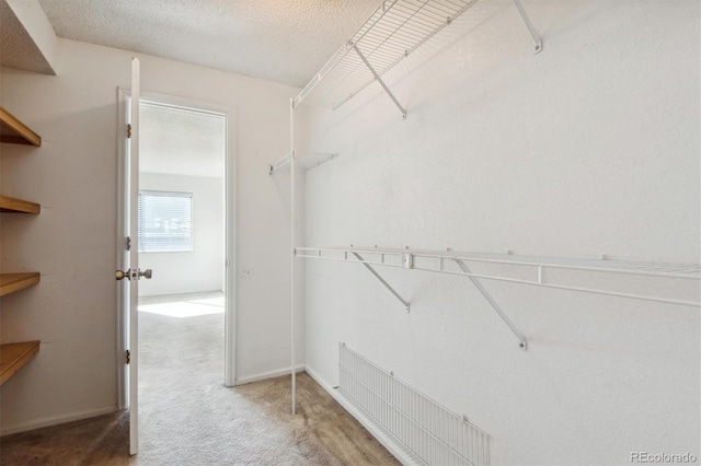 spacious closet with carpet