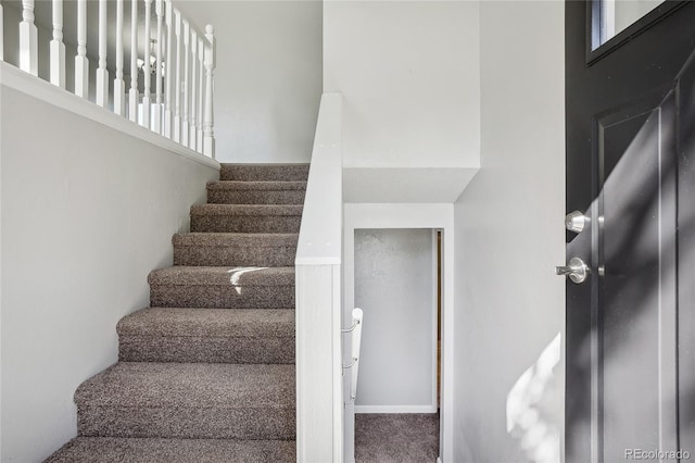 staircase with carpet flooring