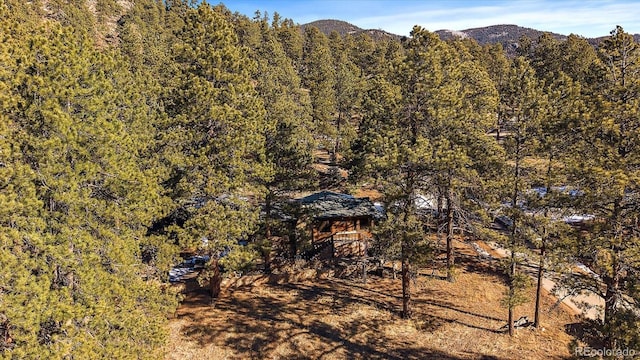 mountain view with a forest view