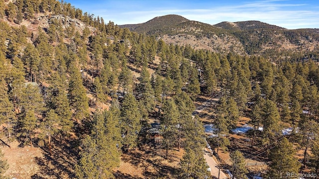 property view of mountains featuring a forest view