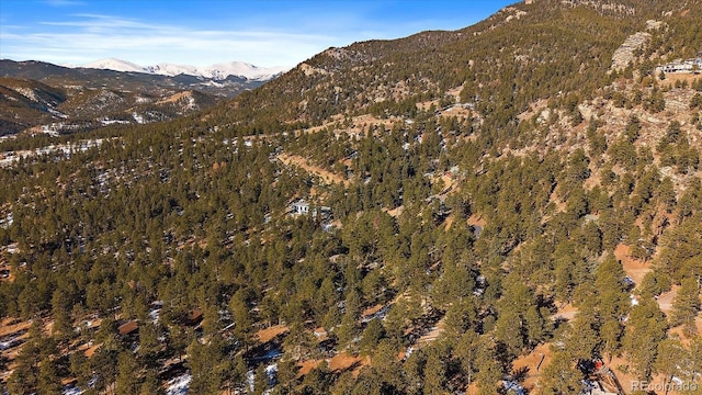 property view of mountains with a wooded view