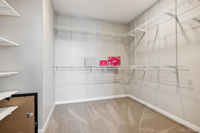 8883 Ramblestone St, Highlands Ranch, CO 80129 - photo 22