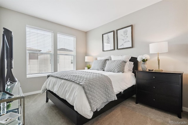 8883 Ramblestone St, Highlands Ranch, CO 80129 - photo 25