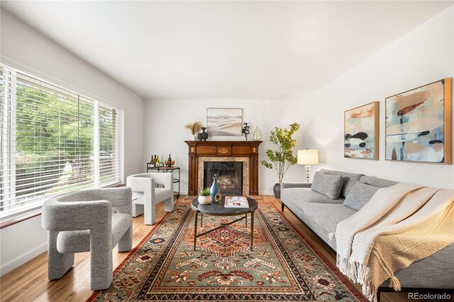 3054 S Raleigh St, Denver, CO 80236 - living area with wood finished floors, a fireplace, and baseboards